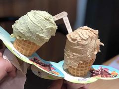-野人先生现做冰淇淋(北京顺义祥云小镇店)