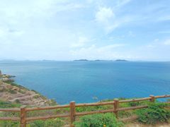 -杨梅坑