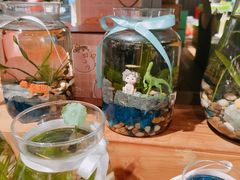 -酷乐潮玩(颛桥万达店)