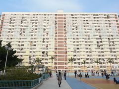 -彩虹村