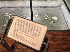 -齐齐哈尔市博物馆