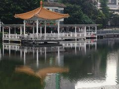 -荔湾湖公园