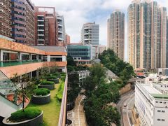 -香港大学