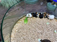 -正佳雨林生态植物园