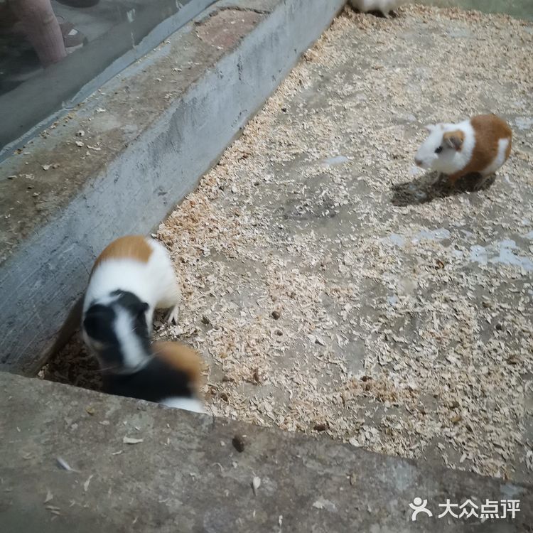 闲暇周末/欢乐海底世界