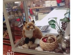 -狐狸家·酸奶酪专门店(平江路店)