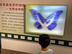 -上海昆虫博物馆