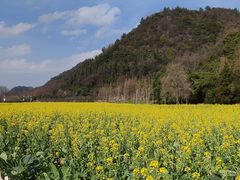 -贵阳市花溪国家城市湿地公园