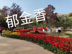 -石家庄市植物园