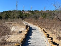 -白水寺森林公园