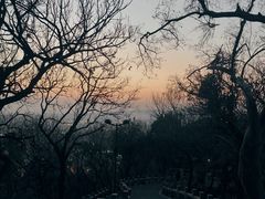 -灵岩山风景区