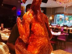 烫手扒扒鸡-蝴蝶汇音乐酒馆(罗湖店)