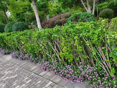 -燕郊植物园