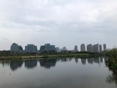 -漩门湾国家湿地公园