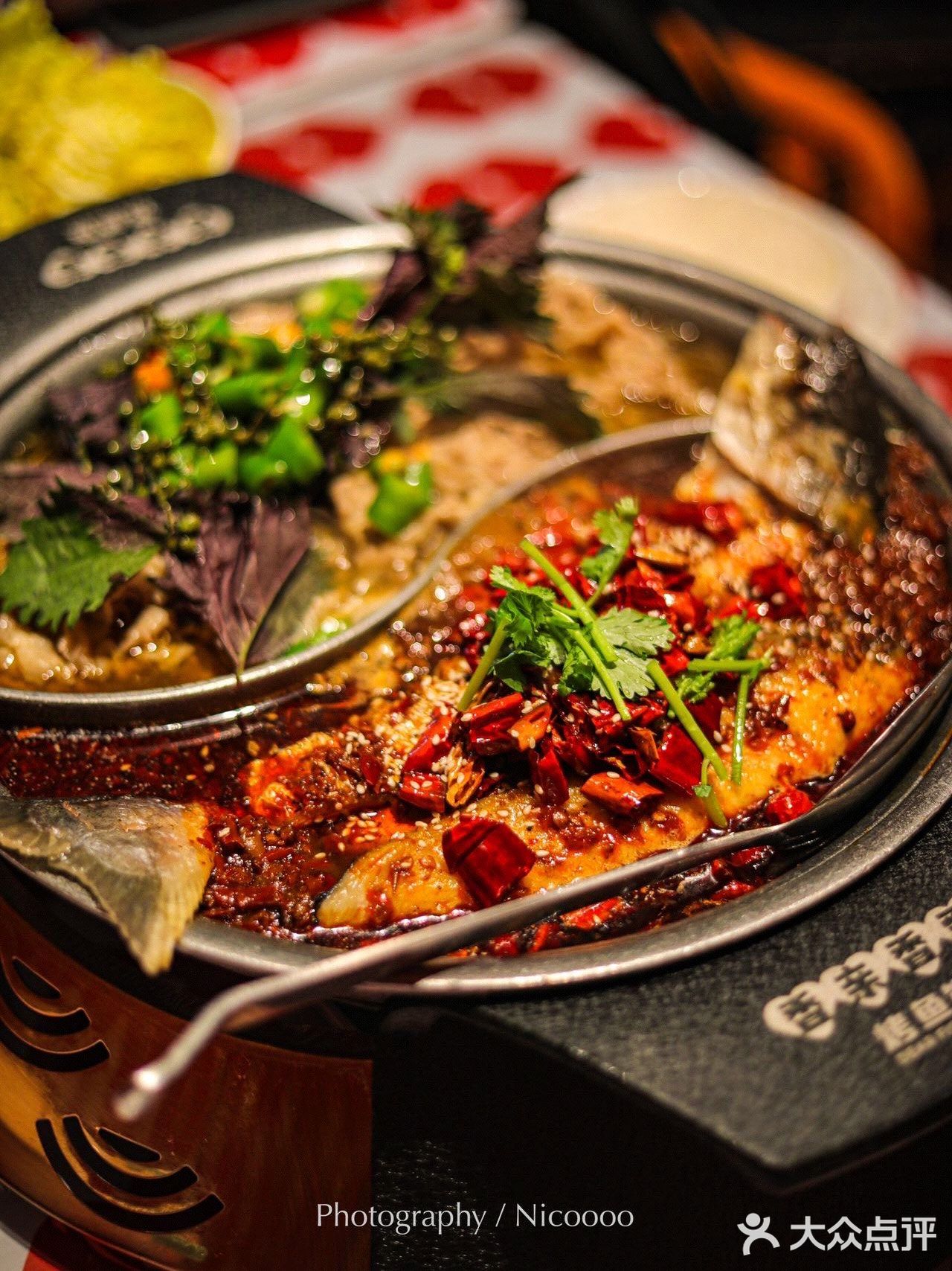 🐟烤鱼牛牛组合锅🥩还有🐟➕🐔！🐟➕🐸