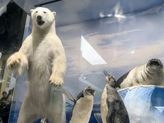 -国家自然博物馆