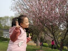 -堤角公园