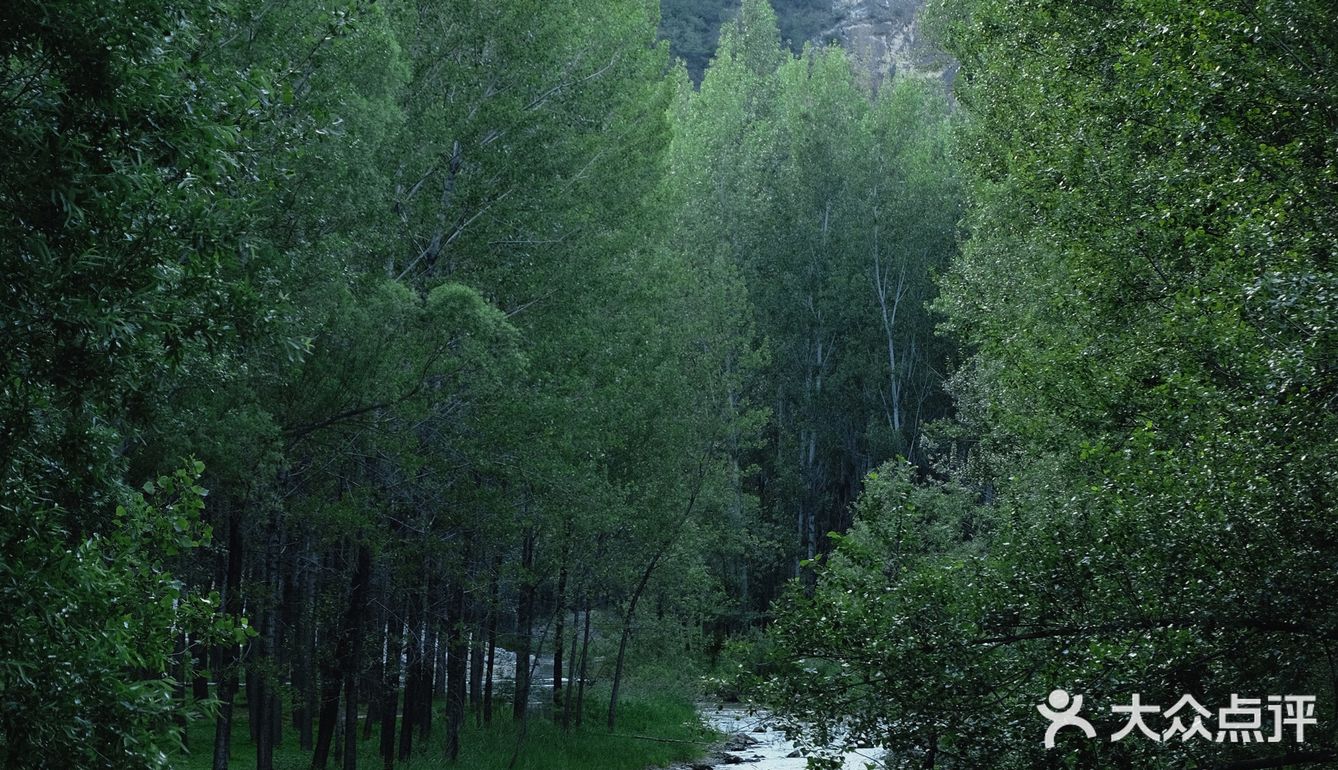 北京周边游｜周末自驾好去处，归隐山水间[加油]
