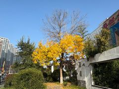 -居然之家(黑龙江南路店)