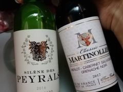 -蒙特利尔皮埃尔·埃利奥特·特鲁多国际机场