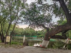 -北陵公园