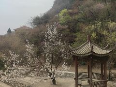 -濂泉响谷