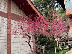-浙江省博物馆(孤山馆区)