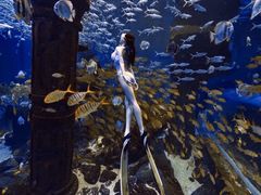 -哈尔滨波塞冬海底世界