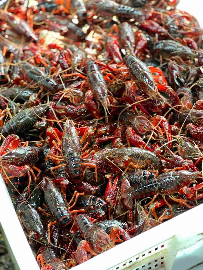 鄞江桥头龙虾(总店)-"桥头龙虾名声在外,终于有时间来吃下打卡了.