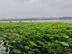 -北山街历史文化街区