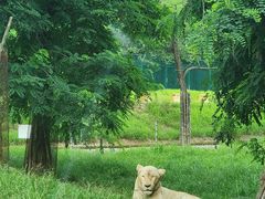-秦皇岛野生动物园