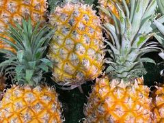 -华联商厦(火车站店)