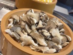 -龍歌自助小火锅(李沧丽达店)
