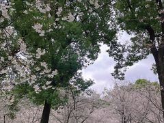 -东湖生态旅游风景区