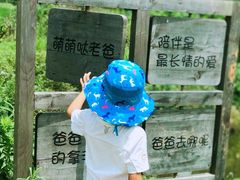 -前小桔亲子创意农场·草莓采摘·露营烧烤