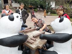 -中国大熊猫保护研究中心雅安碧峰峡基地