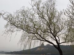 -颐和园
