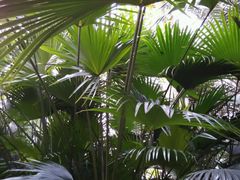 -龙达温泉生态城
