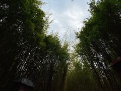 -森波拉火山温泉