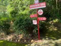 -梁野山景区