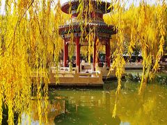 -高庙保安寺
