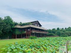 -东滩湿地公园观海楼餐厅