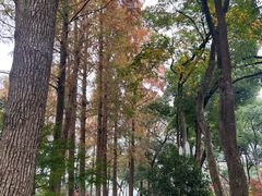 -浙江西子宾馆·瑶园咖啡厅