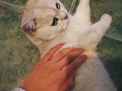 -南京夫子庙国际青年旅舍(平江府路店)