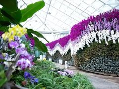-石家庄市植物园