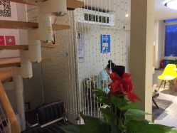 -净妍美肌专业净毛嫩肤连锁机构