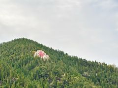 -龙口南山旅游景区