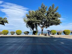 -恋羊时代黑山羊火锅(滨海大道店)