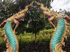 -西双版纳勐泐文化旅游区