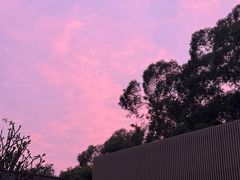 -太子园林酒家